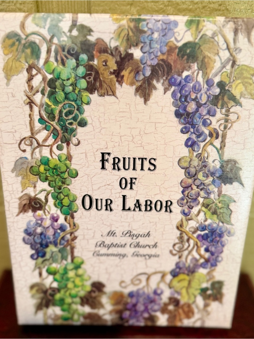 Fruits of Our Labor Mt Pisgah Baptist Church Cookbook Cumming GA 2003 Vol II
